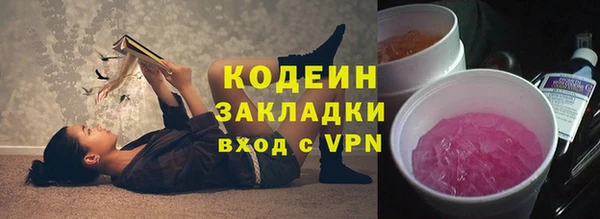 ECSTASY Алзамай