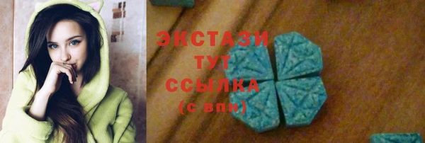 ECSTASY Алзамай