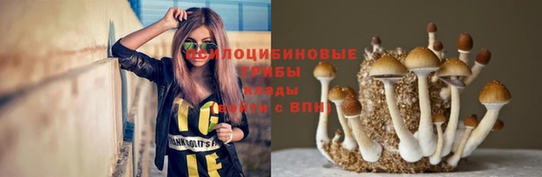 кокаин Алексеевка
